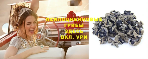 ALPHA-PVP Богородицк