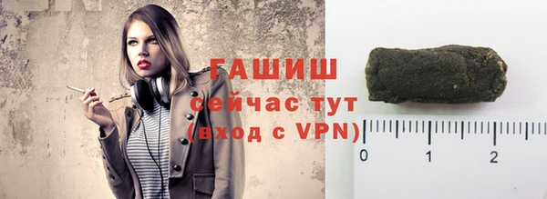 прущие грибы Богданович