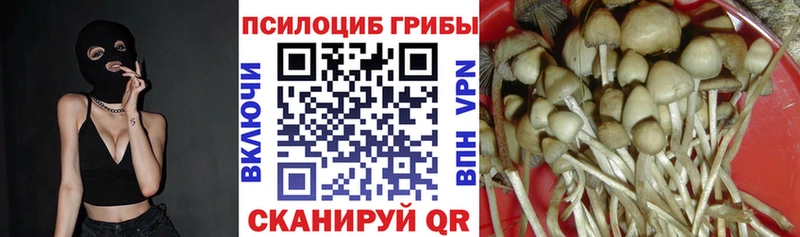 Галлюциногенные грибы MAGIC MUSHROOMS Дагестанские Огни